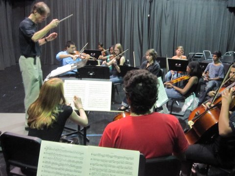 Symphony members take collaboration into their own hands