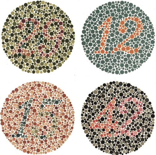 Colorblindness affects students’ learning