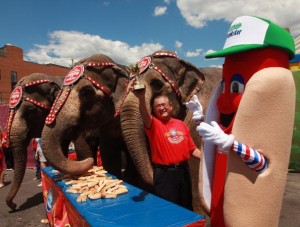 Elephants that Elisabeth disapproves of