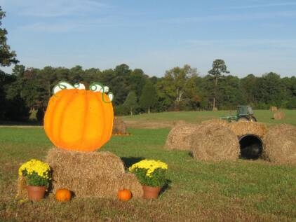Page Farms ensures fall fun