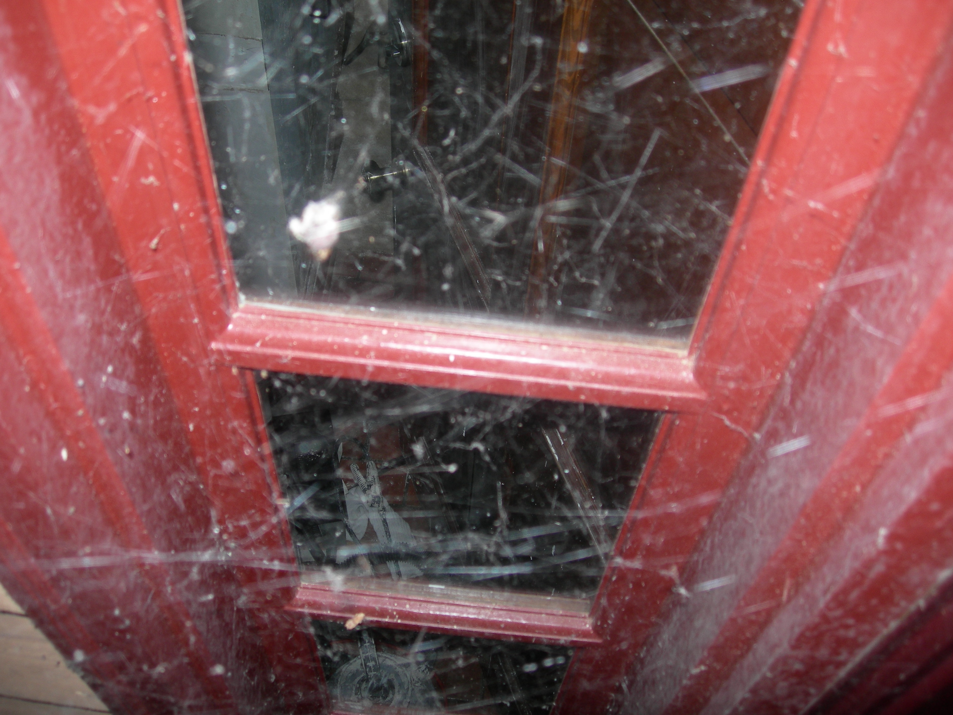 Arachnids give Marks nightmares