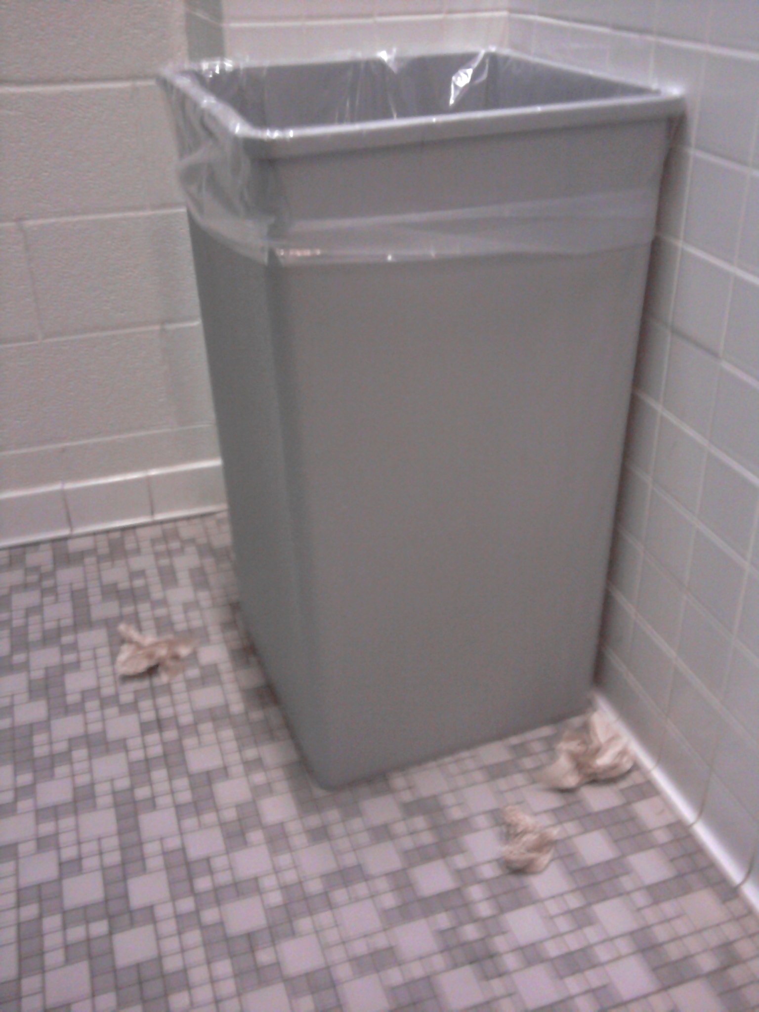 Who’s really to blame for messy bathrooms?