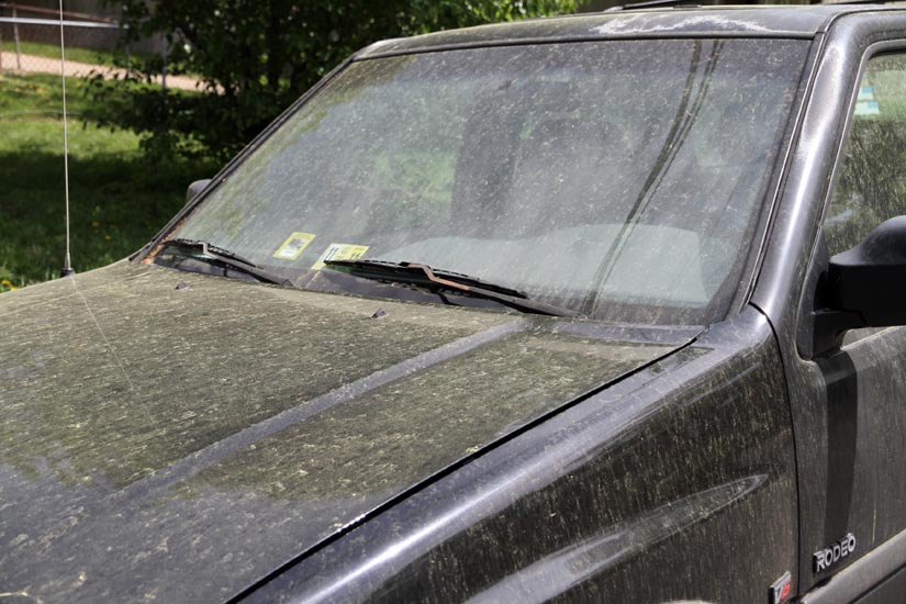 Pollen coats Leesville; students complain