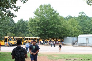 Ellerby_Buses