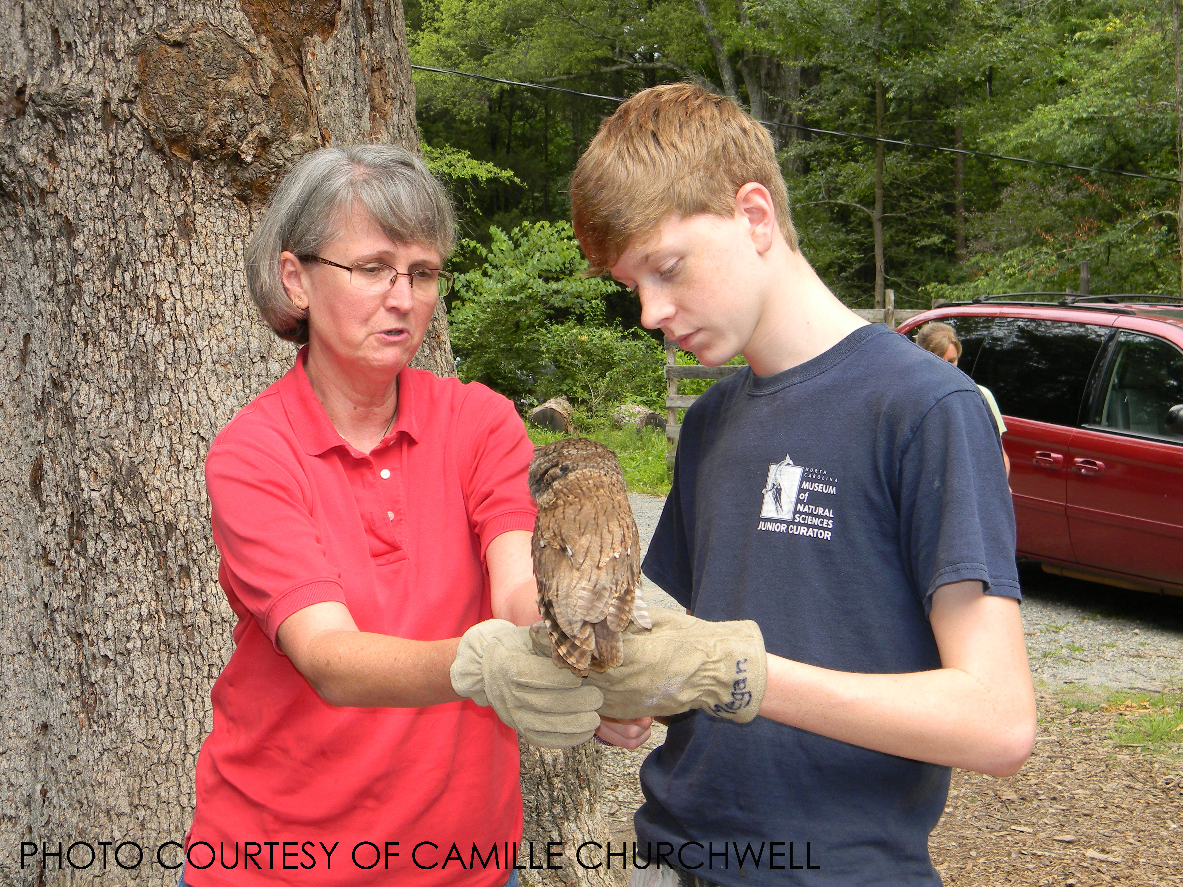 Matt Jenkins– falconer in training