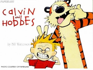 Calvin and Hobbes is a comic about a boy and his stuffed tiger. The constant struggle between simplicity and complexity makes the comic valuable and timeless. 