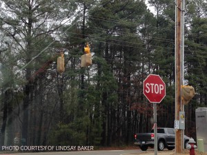 A photograph of one of the three new stop lights at the intersection of Leesville Road and Fairbanks road. The new stop lights are being installed because of how difficult and dangerous it is to turn left onto Fairbanks Road.