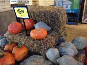 Things to do in fall