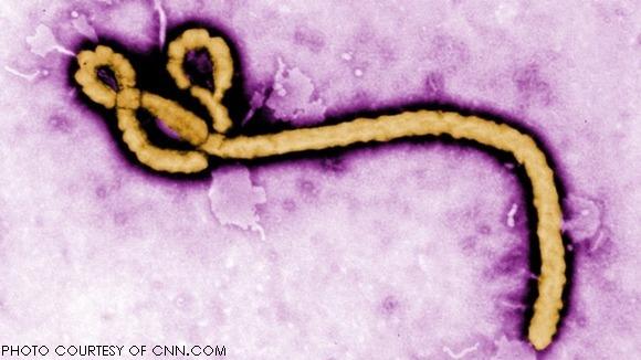 Ebola in the U.S.