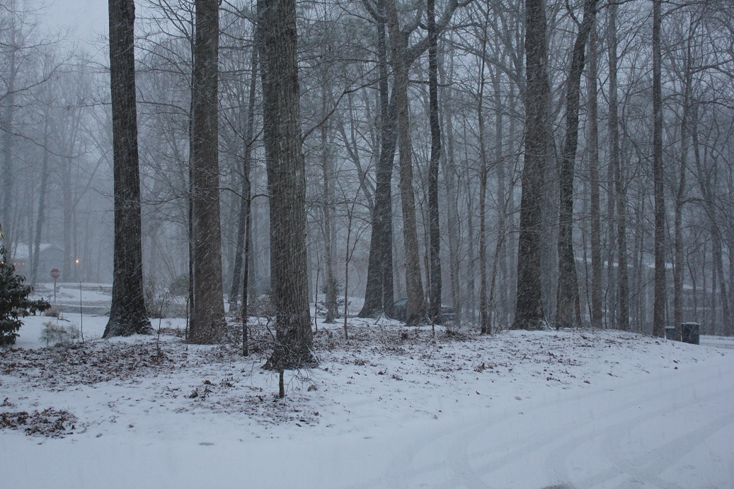 Wake County inundated by snow and ice
