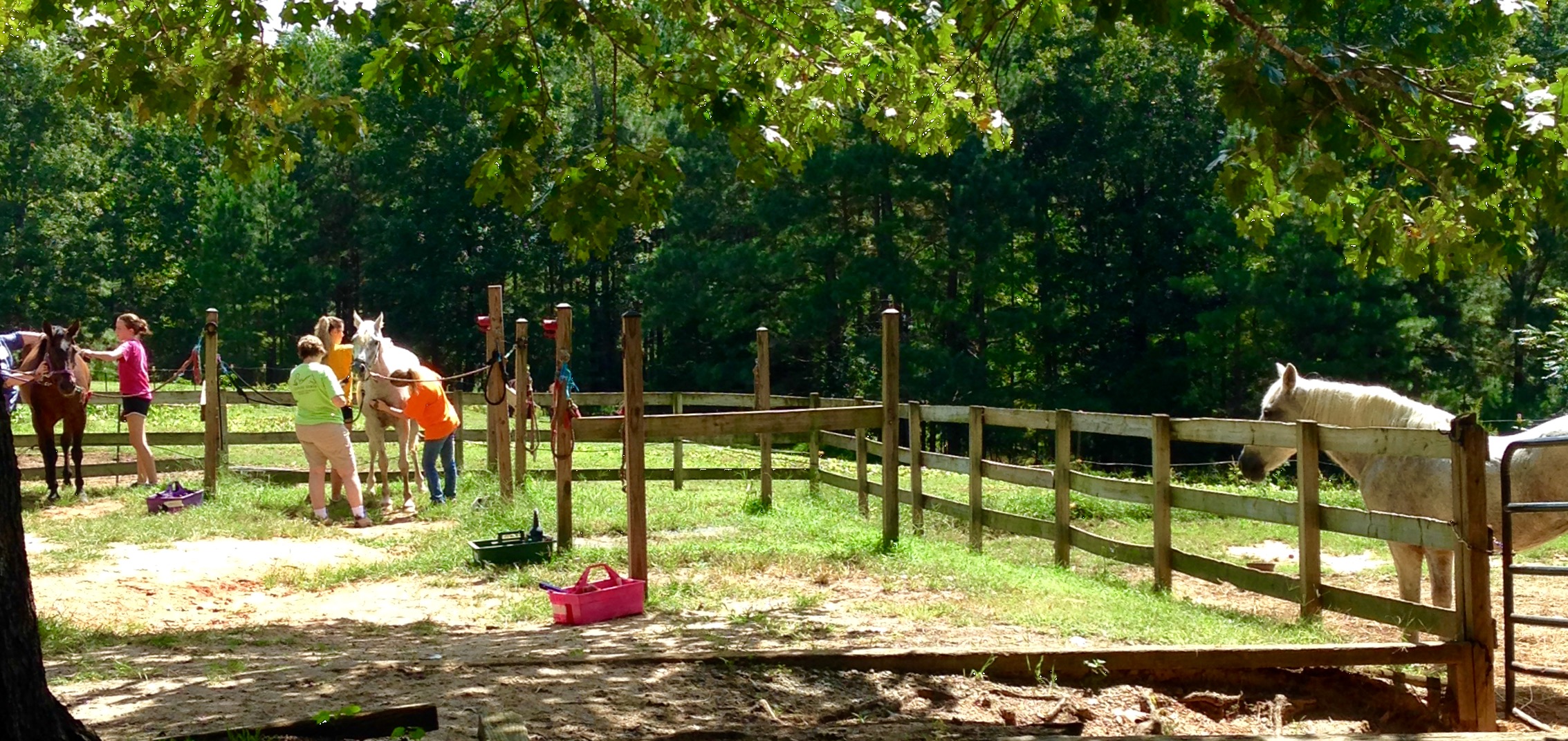 Helping Horse Therapeutic Riding Program