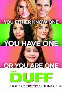 The DUFF does enough to be an honest high school story