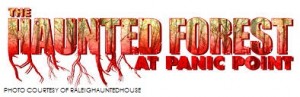 The Haunted House at Panic Point