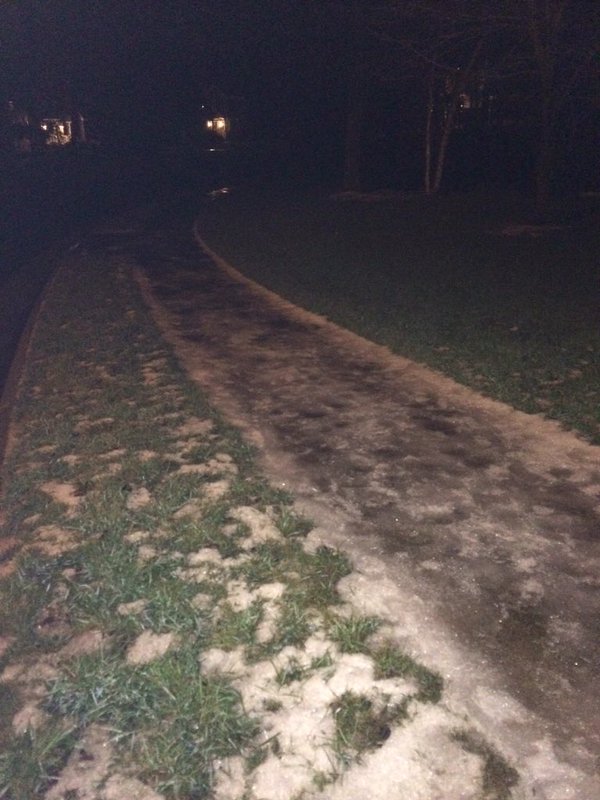 What do Leesville Students Like to do on Snow Days?
