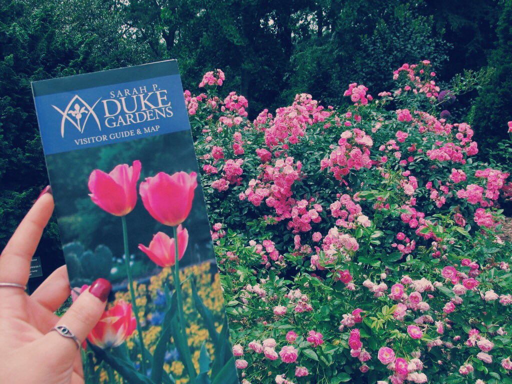 A place to explore: the Sarah P. Duke  Botanical Gardens