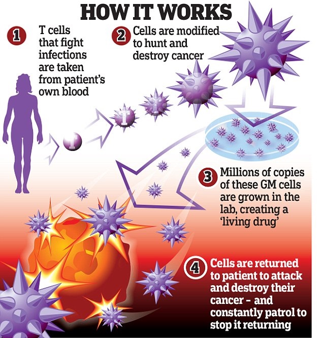 Immunotherapy proves most hopeful discovery in cancer treatment