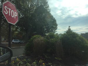 Brennan Station’s parking lot is lined with beautifully decorated islands, but their placement and design is inconvenient. The flowers and bushes planted interfere with a driver’s vision when attempting to see any oncoming cars. (photo courtesy: Regan Harsa) 