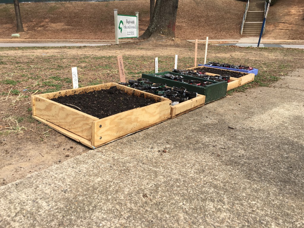 Adding Green to Leesville Our School’s New Garden The Mycenaean