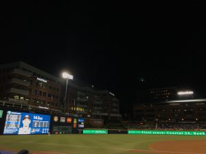 Professional Sports and Their Impact on Us