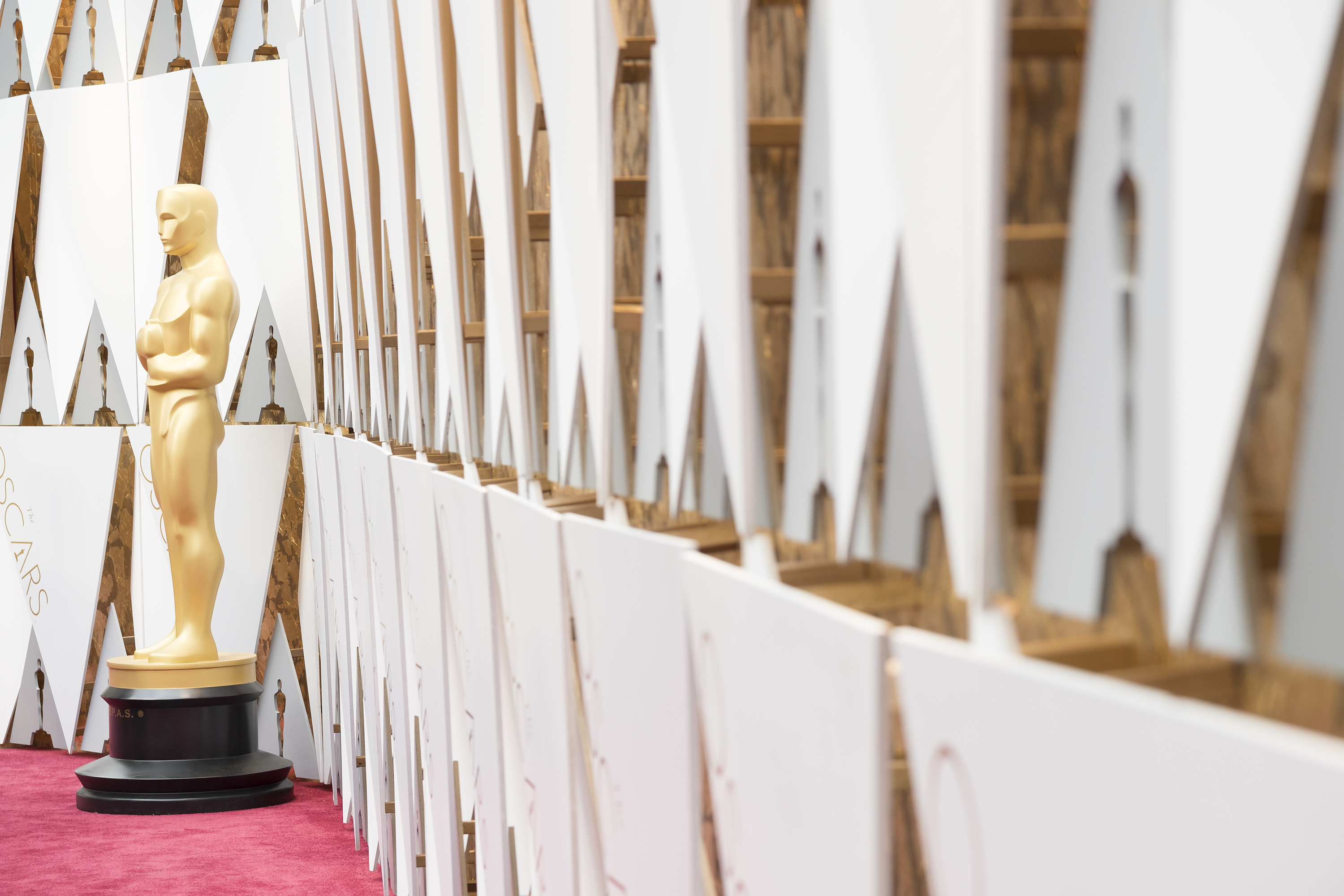 Moving Forward: The 91st Academy Awards