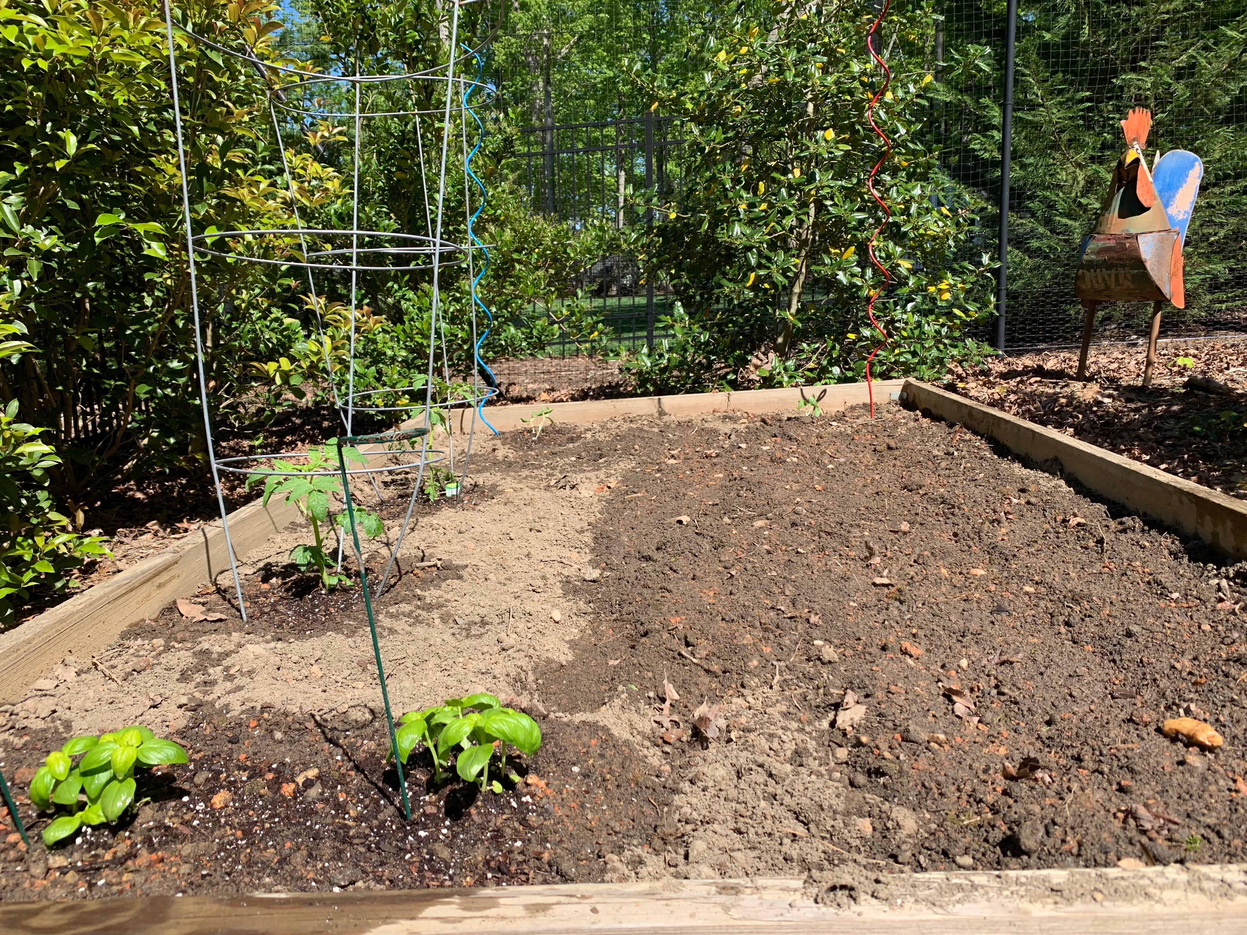 5 reasons to have a garden