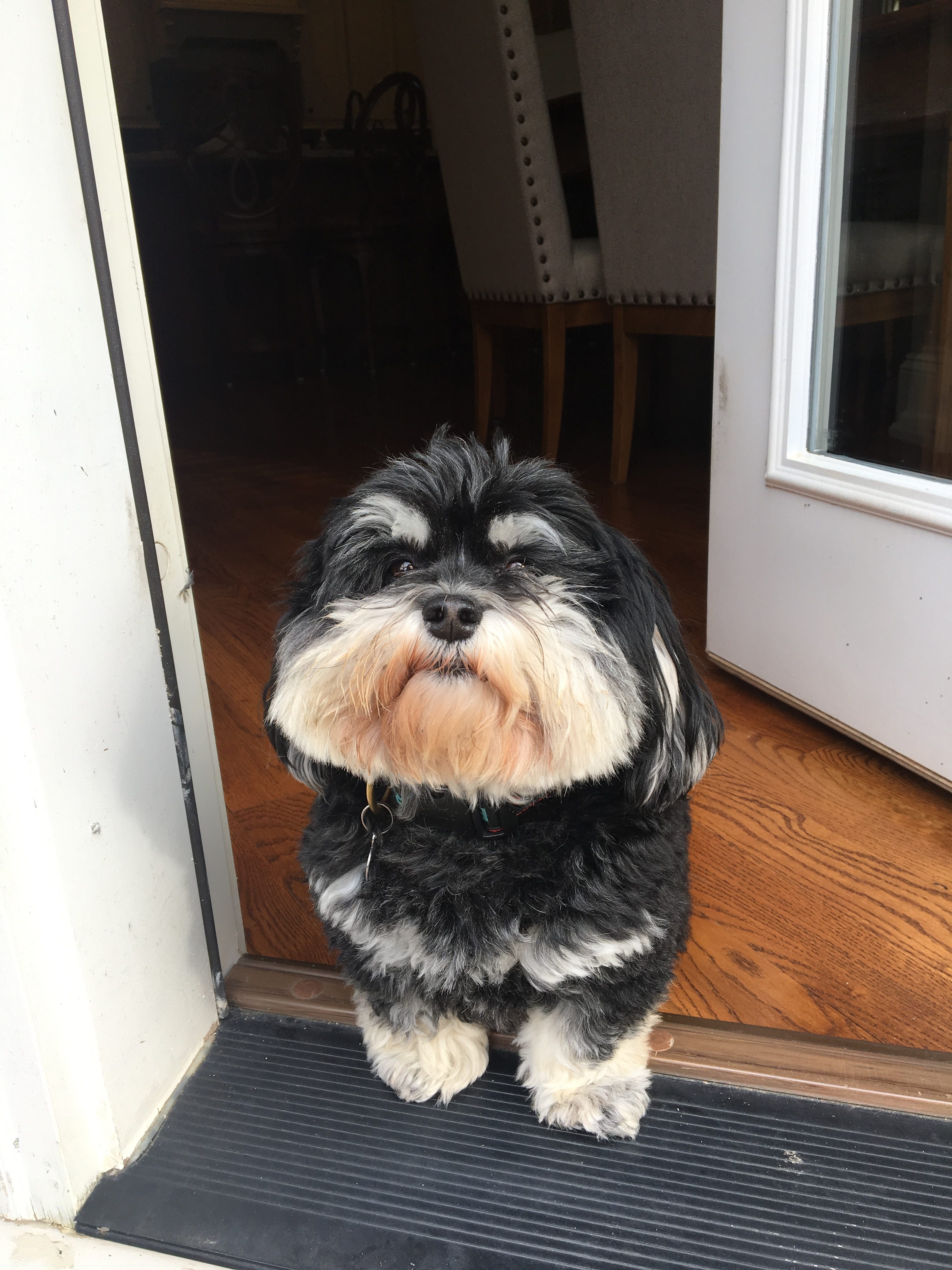 Would you give your dog up for one million dollars?