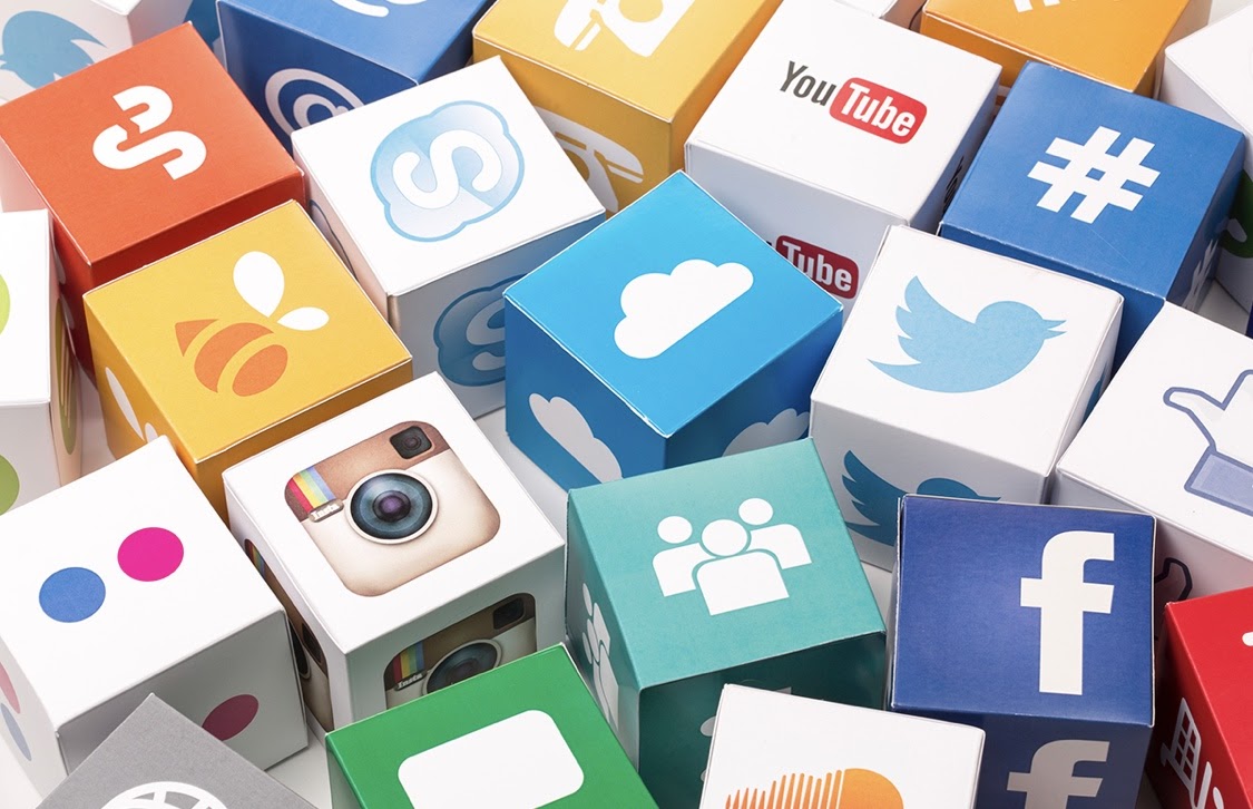 Social Media: Which platform is favored the most at Leesville?