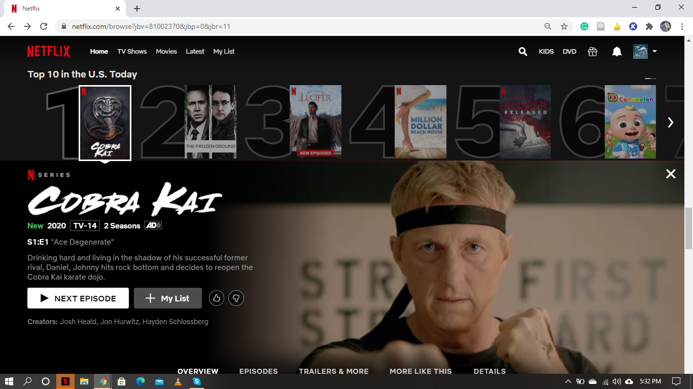 Cobra Kai' Is the Best Show You'll Watch on Netflix in 2020