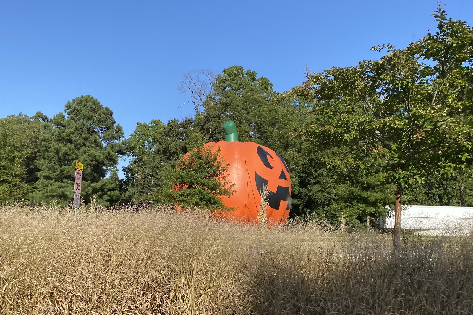 Fall is Here in North Carolina