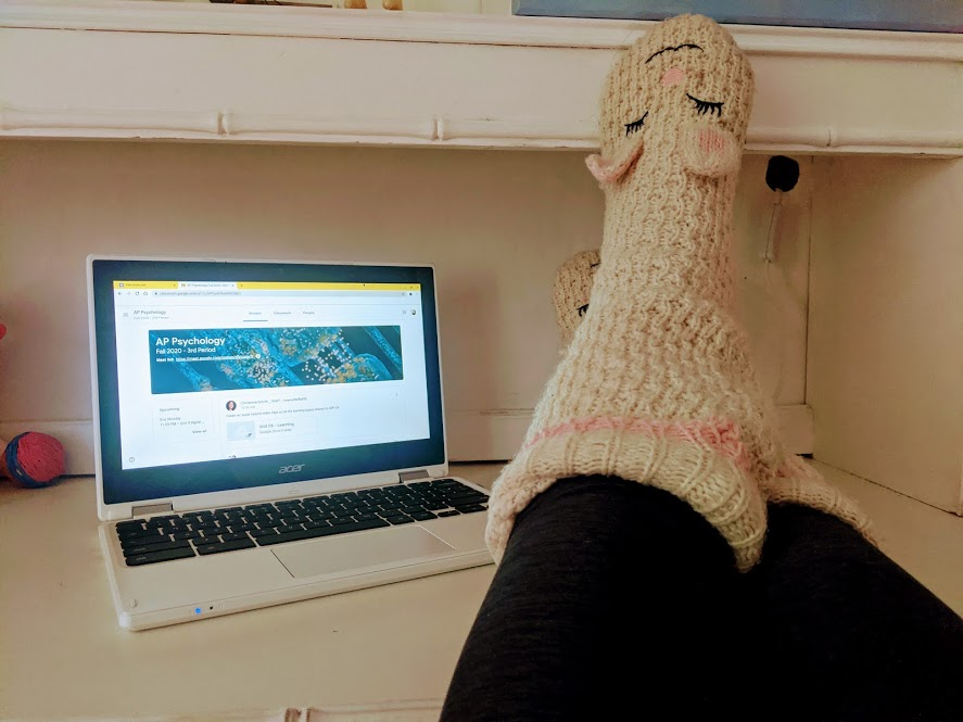 Teachers and Students Make Odd Adjustment to Online School