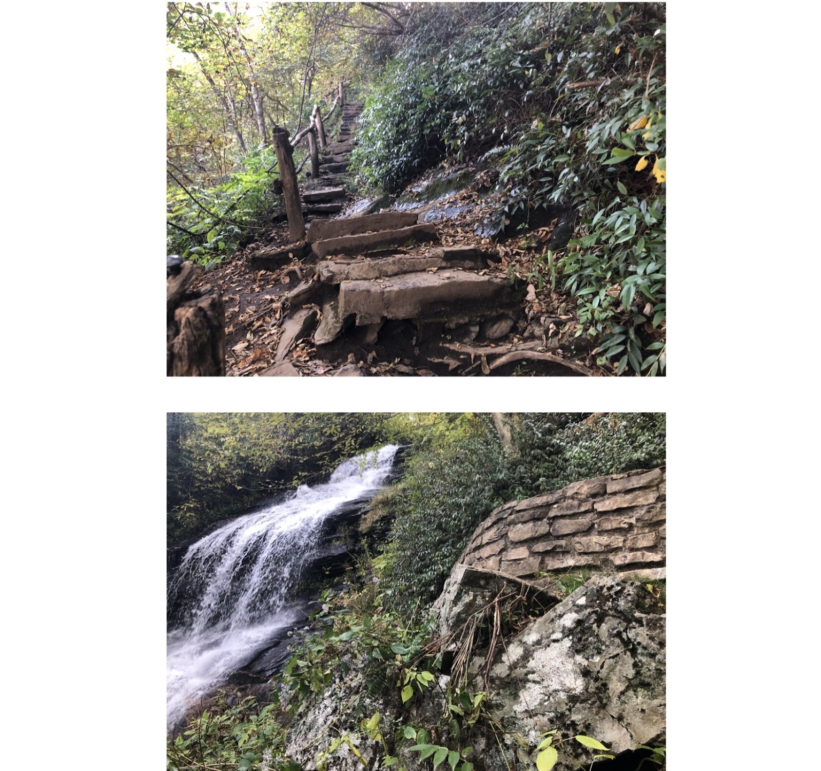 boone17