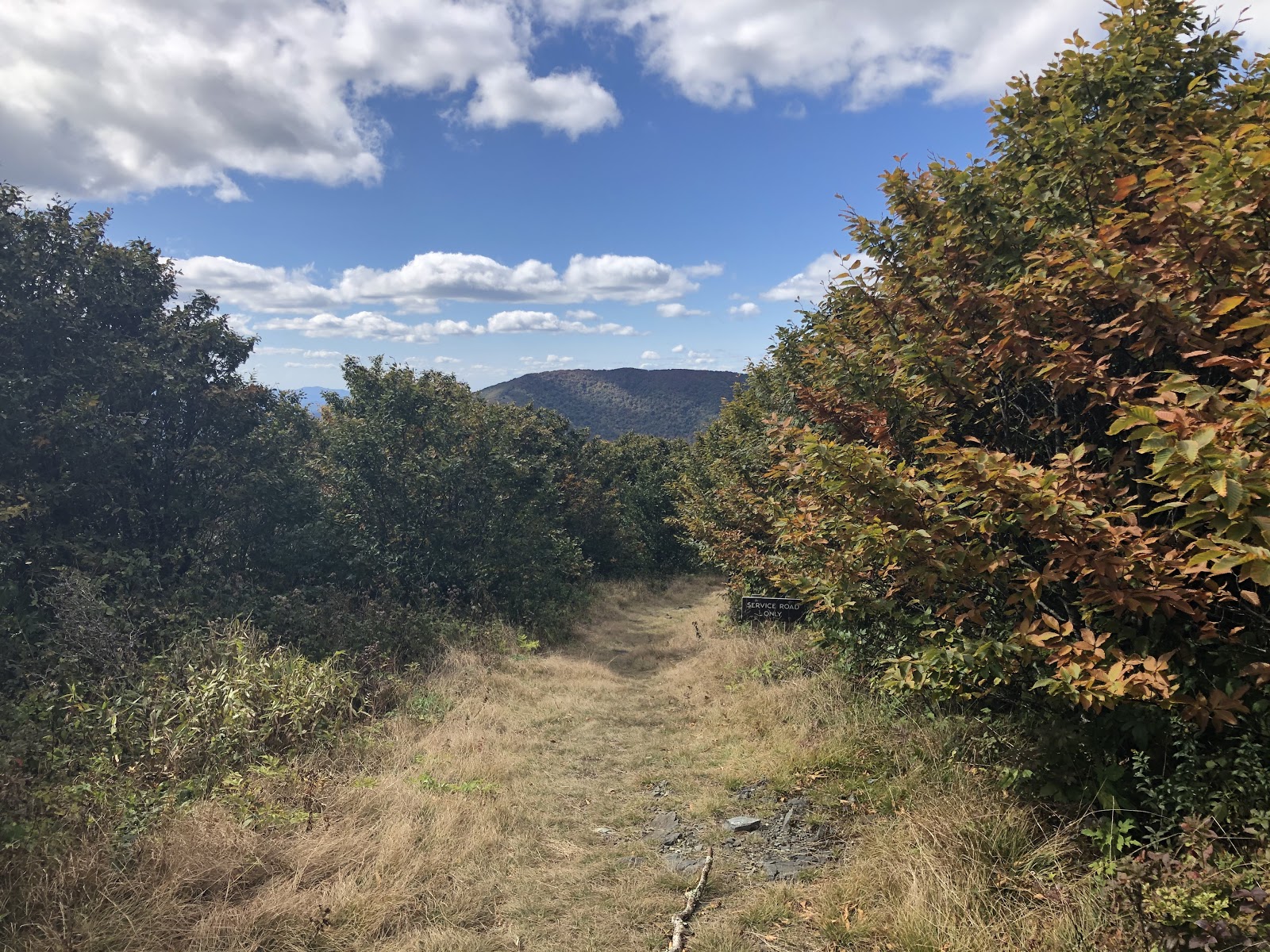 boone19