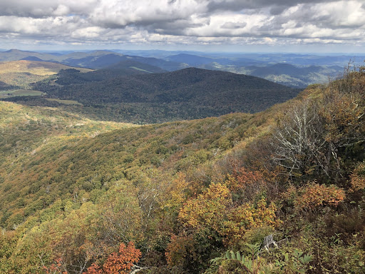 boone8