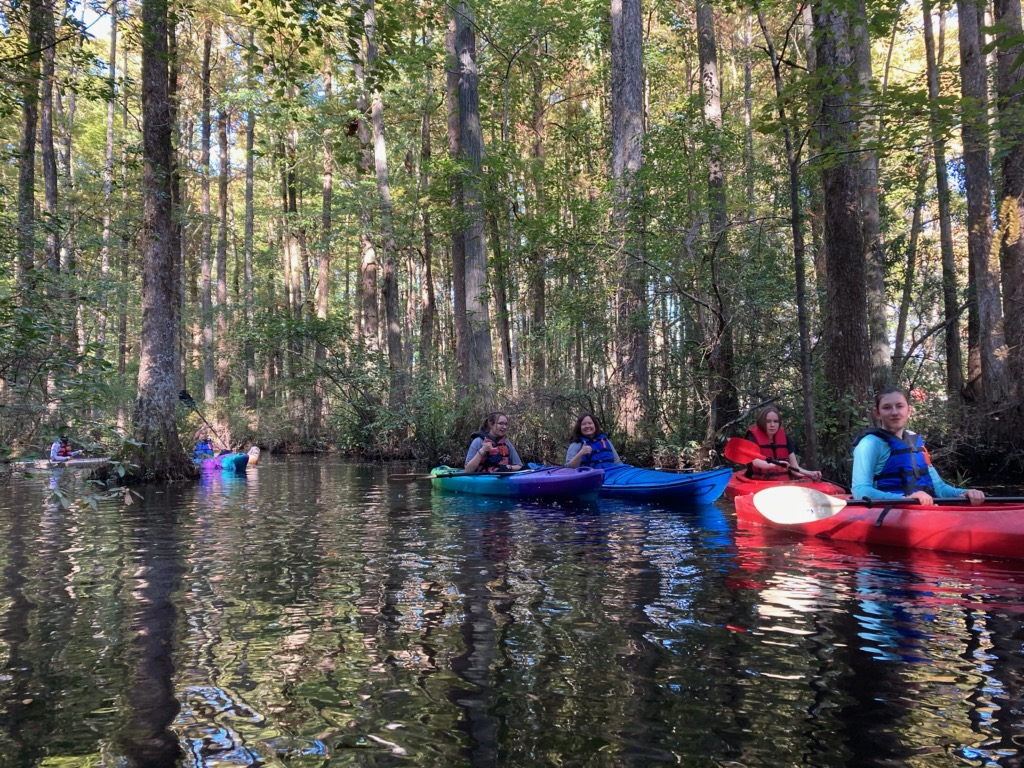Robertson Millpond Preserve: A Hidden Treasure In Our Own Backyards
