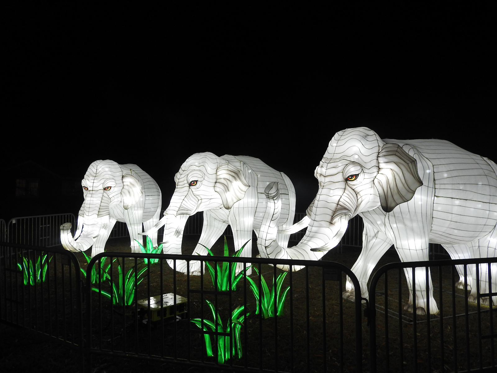 NC Chinese Lantern Festival Pop-Up
