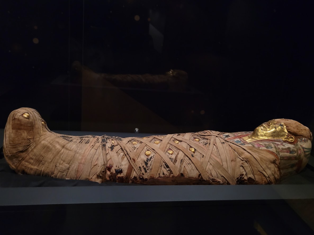 Golden Mummies of Egypt