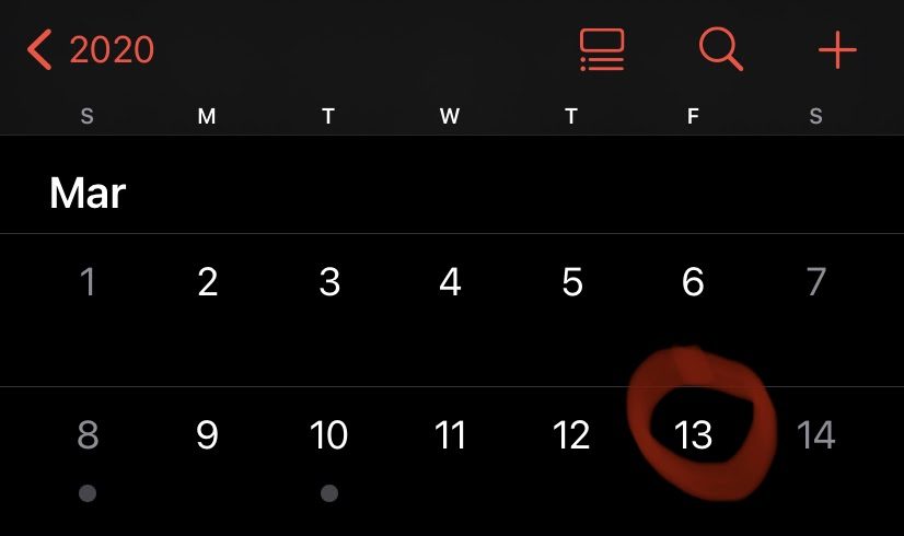 One Year of COVID Lockdown
