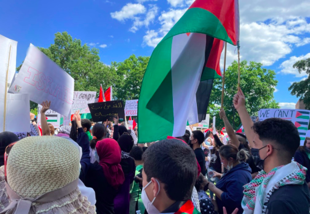 Pro-Palestine Protest Takes on Downtown Raleigh