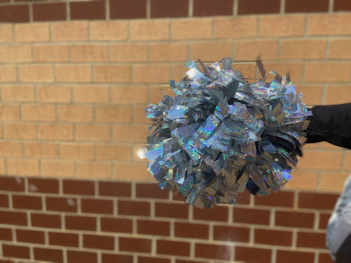 Leesville Road High School Dance Team