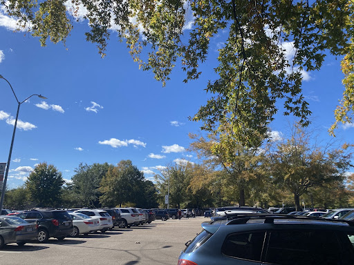 The Reality of Going Off Campus