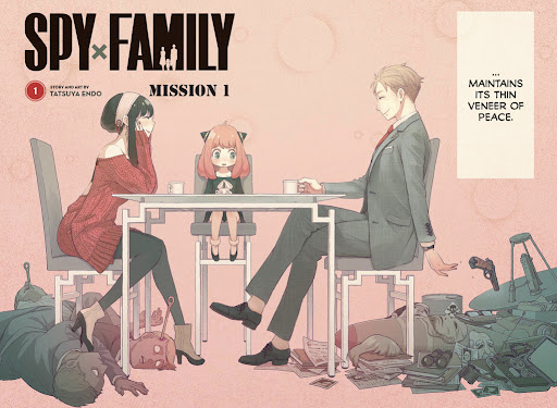 SpyxFamily Review