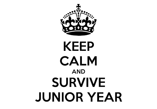 How to Prepare for Junior Year