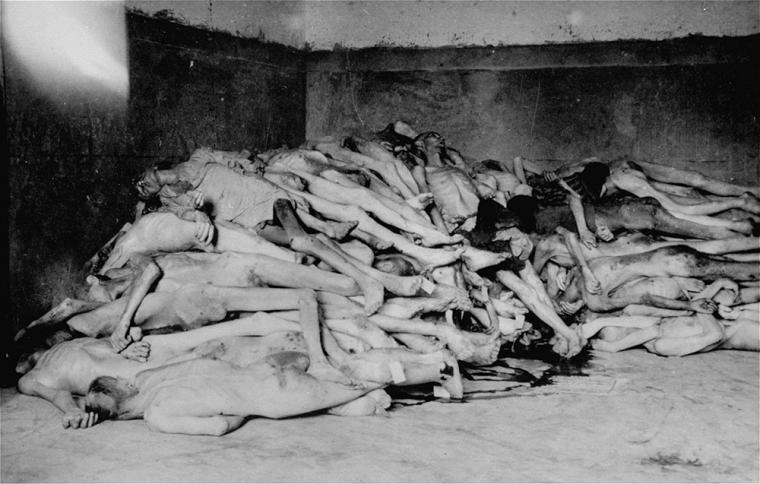 Holocaust and Genocide Class important enough to be required