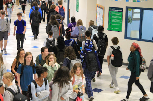 Morning at Leesville: A Photo Story