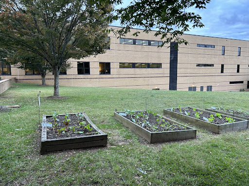 Foods Class New Garden