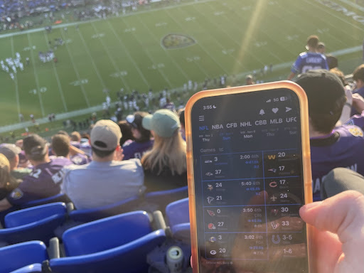 Real-Sports Review