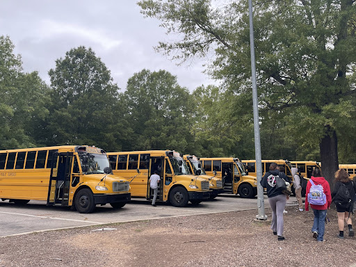 thomas c2 in greenville|TikTok Search
