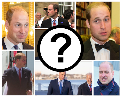 The Prince William Debate