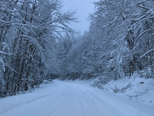 Why Winter is the Best Season