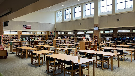Removable Libary Passes